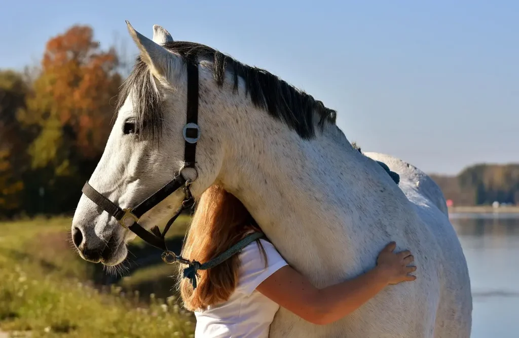 cheval
