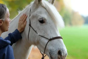 Equithérapie