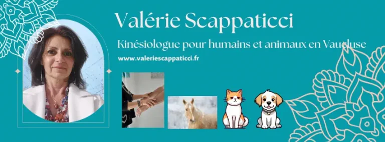 Valérie-Scappaticci WEBP (1) OK