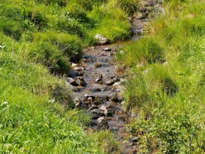 Rivière