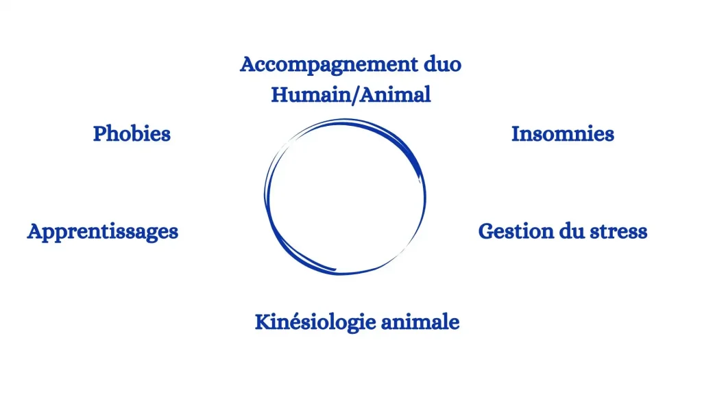 présentation-page-accueil-competences WEBP OK