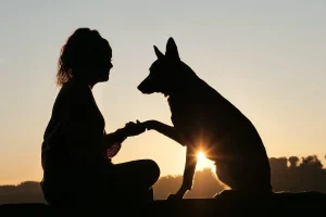 friendship-4499076_1280 WEBP OK