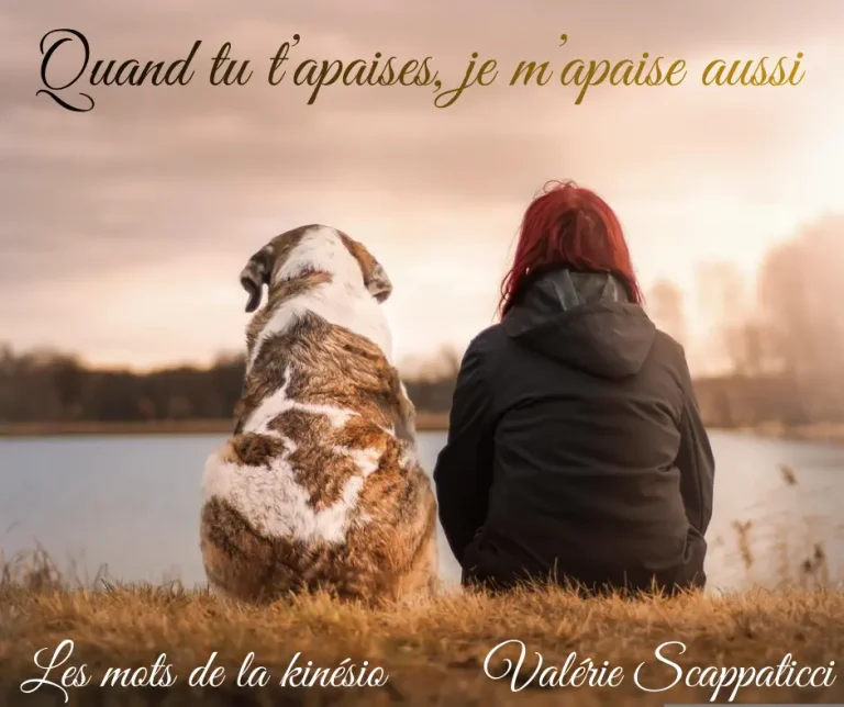 quand-tu-t-apaises-je-m-apaise-aussi webp OK