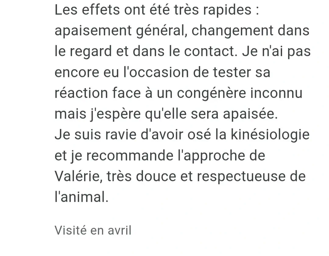 Avis-client-Cécile-et-Pampa-2 webp OK